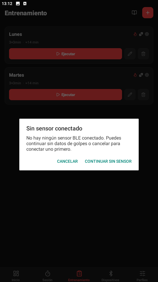 Ejecución del plan de entrenamiento
