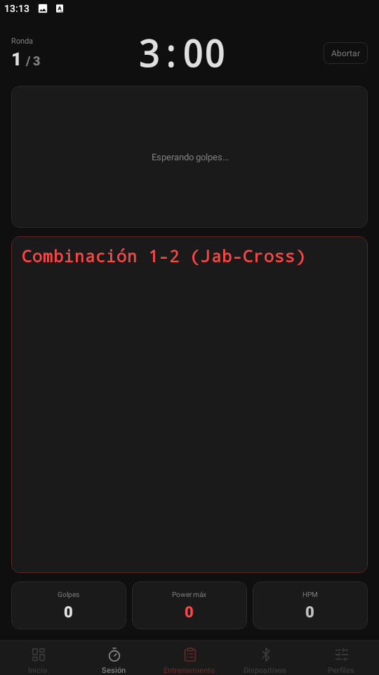 Ejecución del plan de entrenamiento